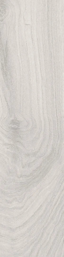 PALMWOOD Biondo 15x60