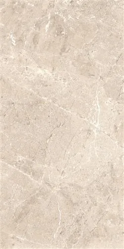 RAUSA Taupe 30x60