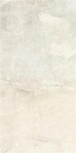 SLATE Bone 60x120