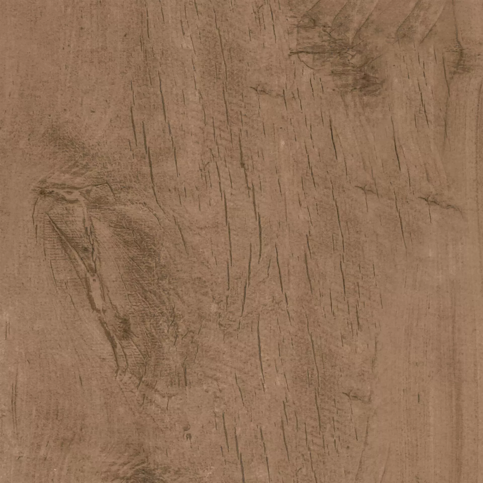 PASIFICO Avana 40x40