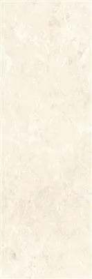 BETA Bone 40x120