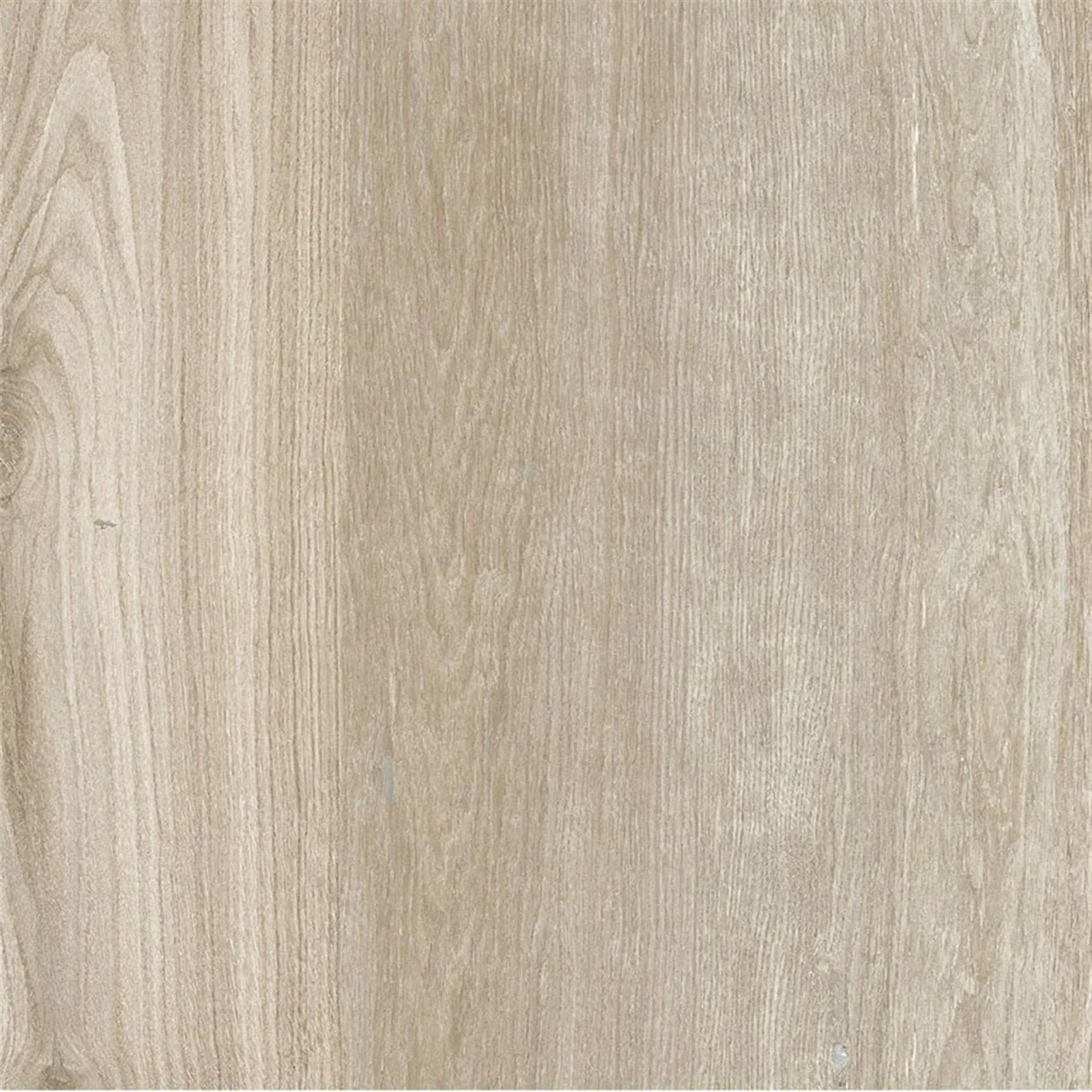 PALMWOOD Ceviz 60x60