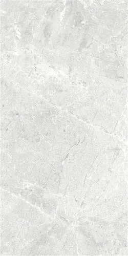 RAUSA İce 30x60