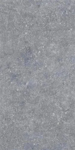 BELGİAN BLUE Koyu Gri 60x120