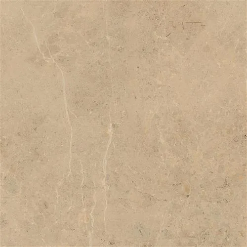 EARTHSTONE Natural 60x60