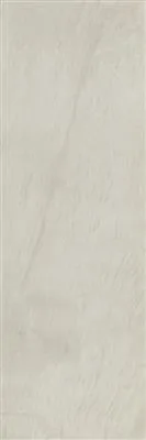 ARION Almond 40x120