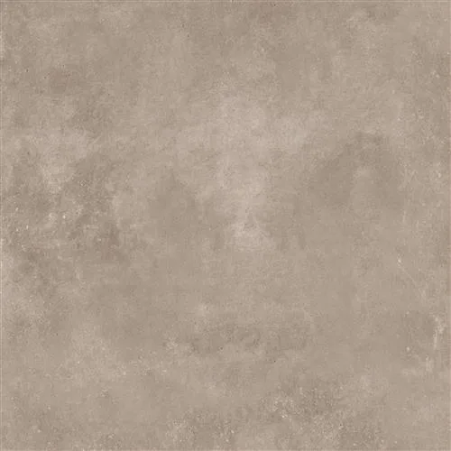 AVOLA Vison 120x120