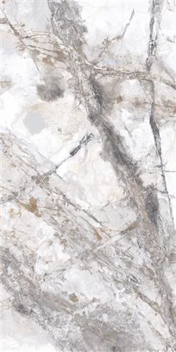 PREMIUM MARBLE VISAGE Weiss 60x120