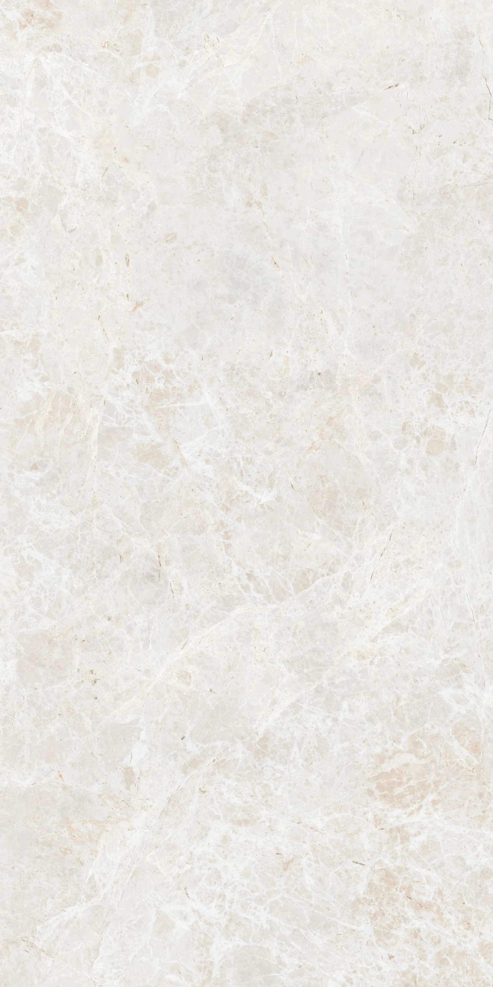 60X120 White Emperador Beyaz Rektifiyeli
