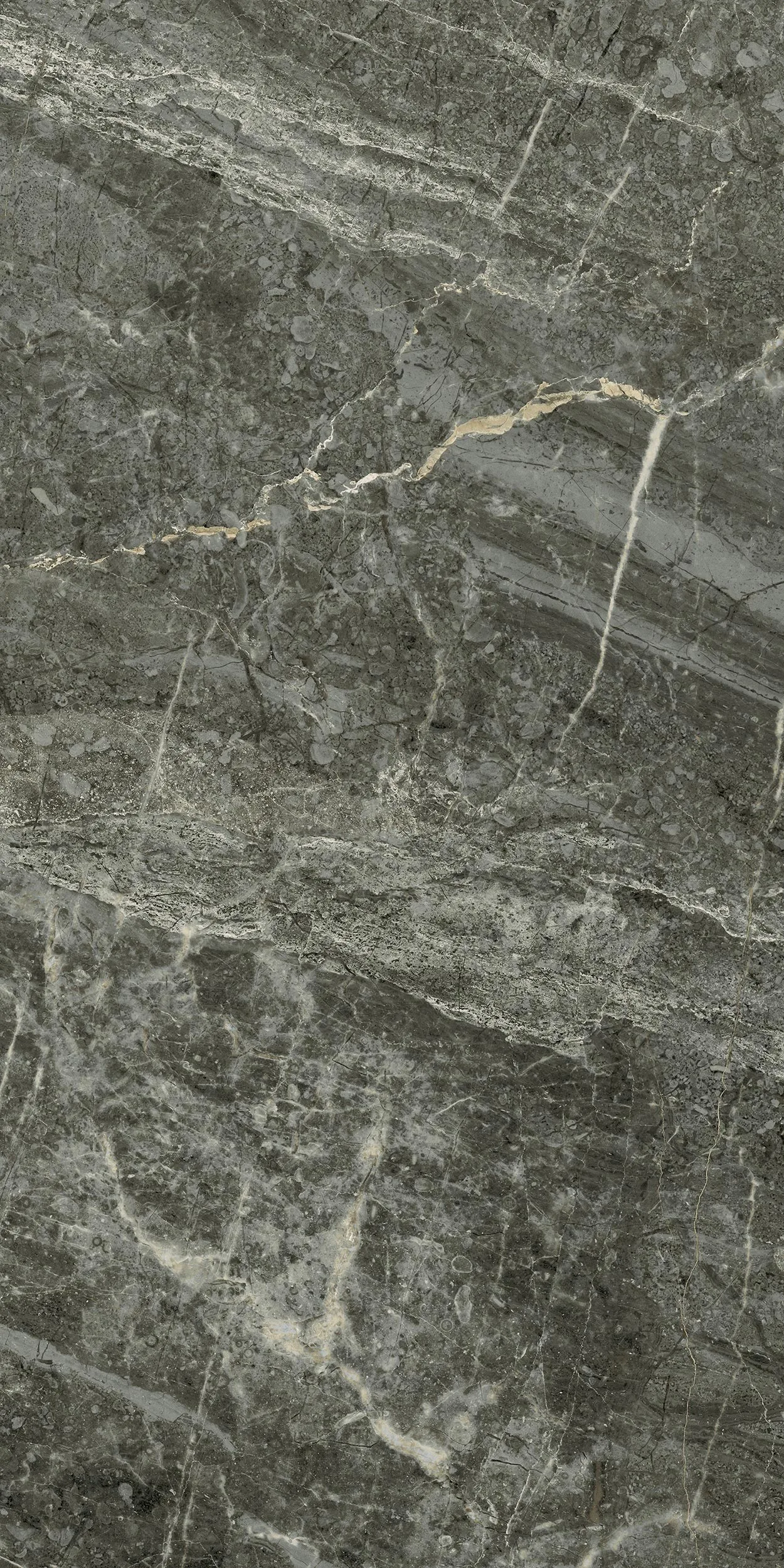 30x60 Arden Antrasit