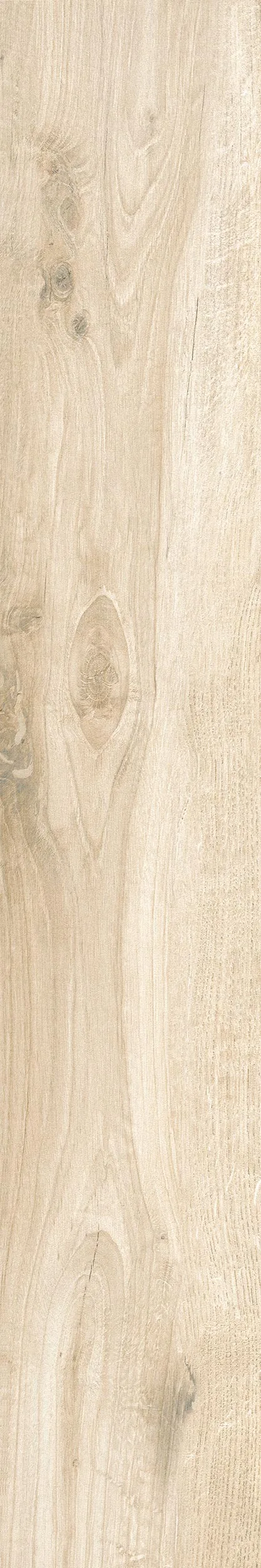 20x120 Savannah Sand — 4