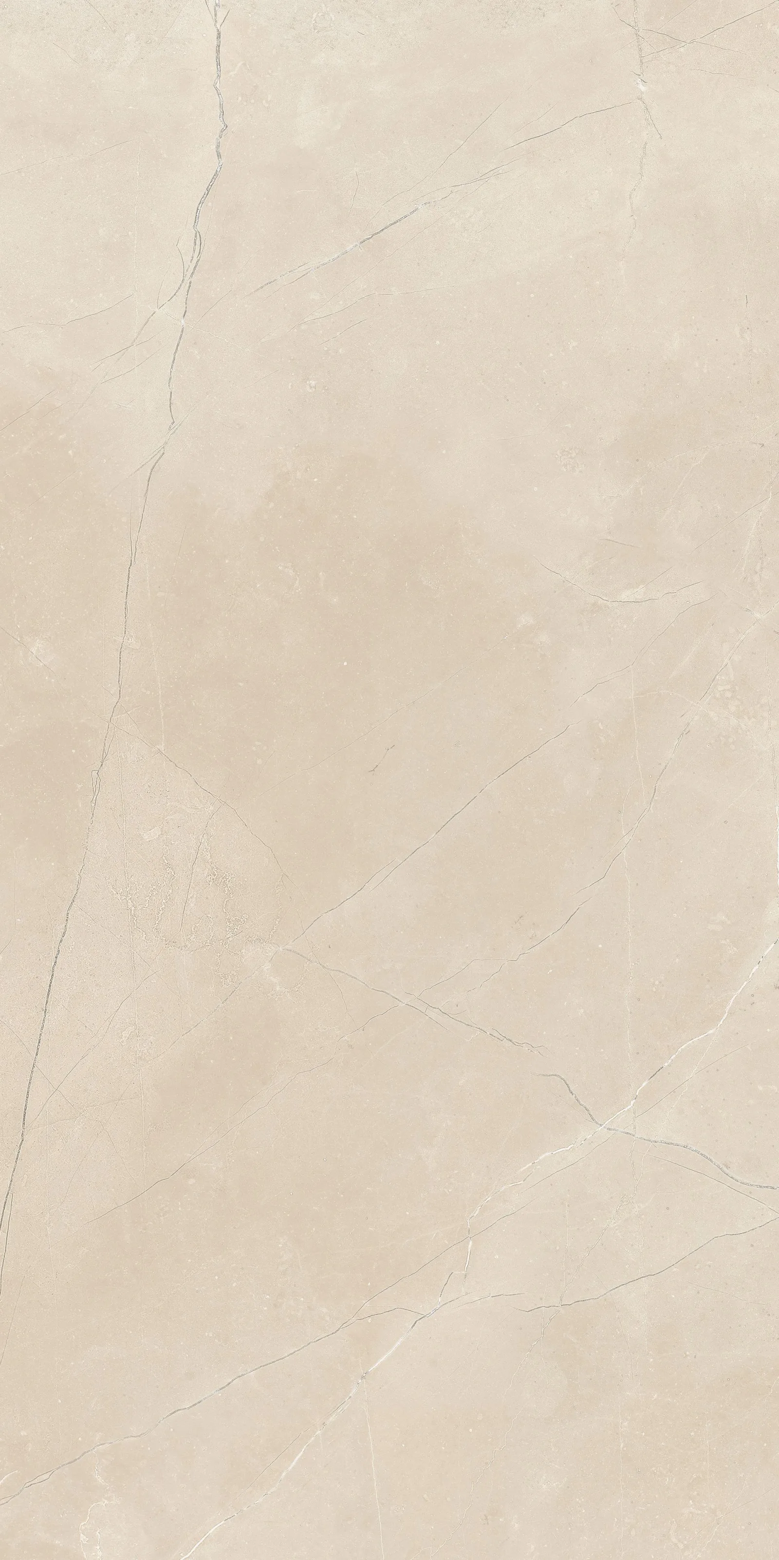 30X60 Nest Fildişi — 4