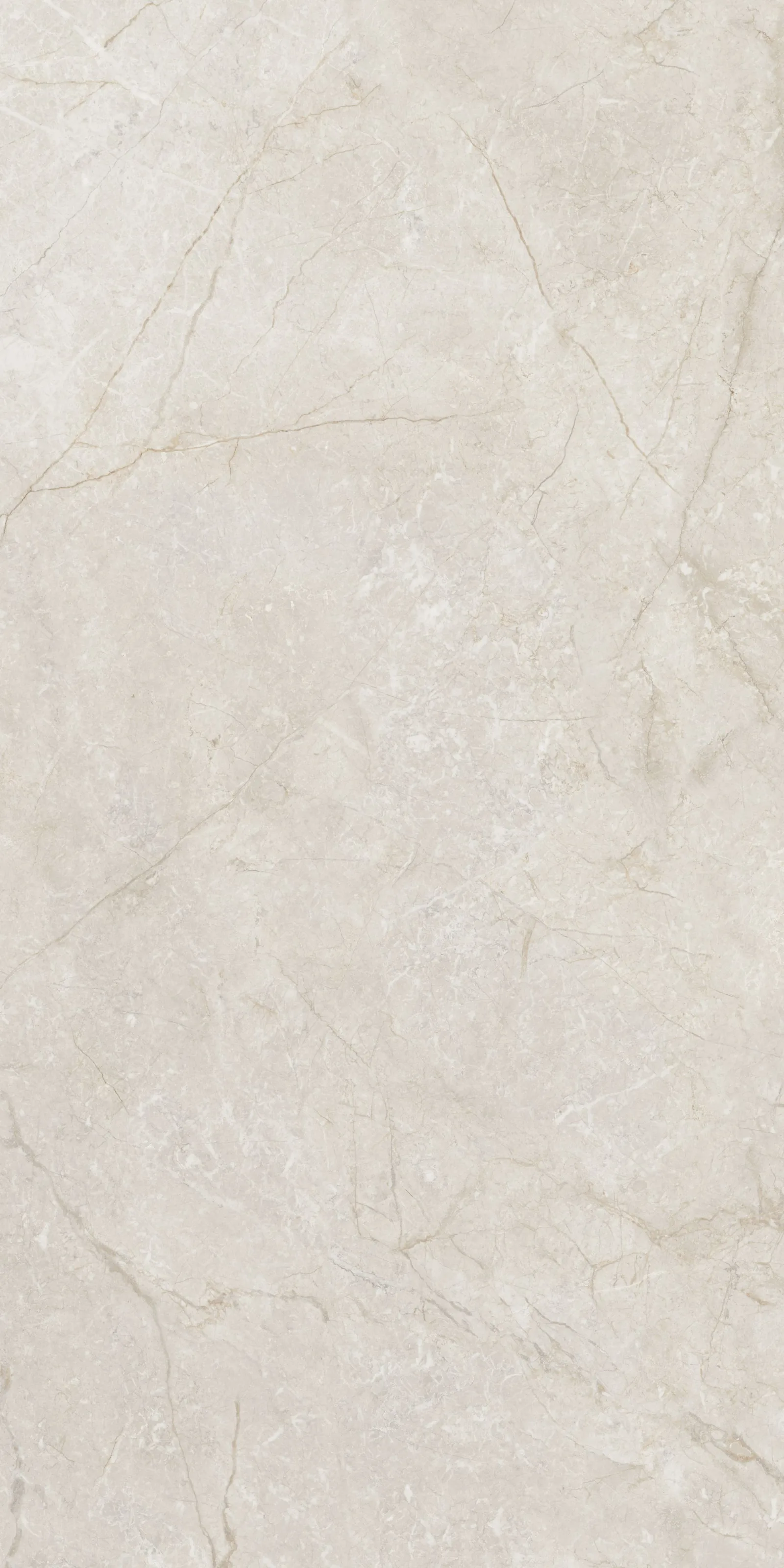 60X120 Silver Root Fildişi Rektifiyeli — 4