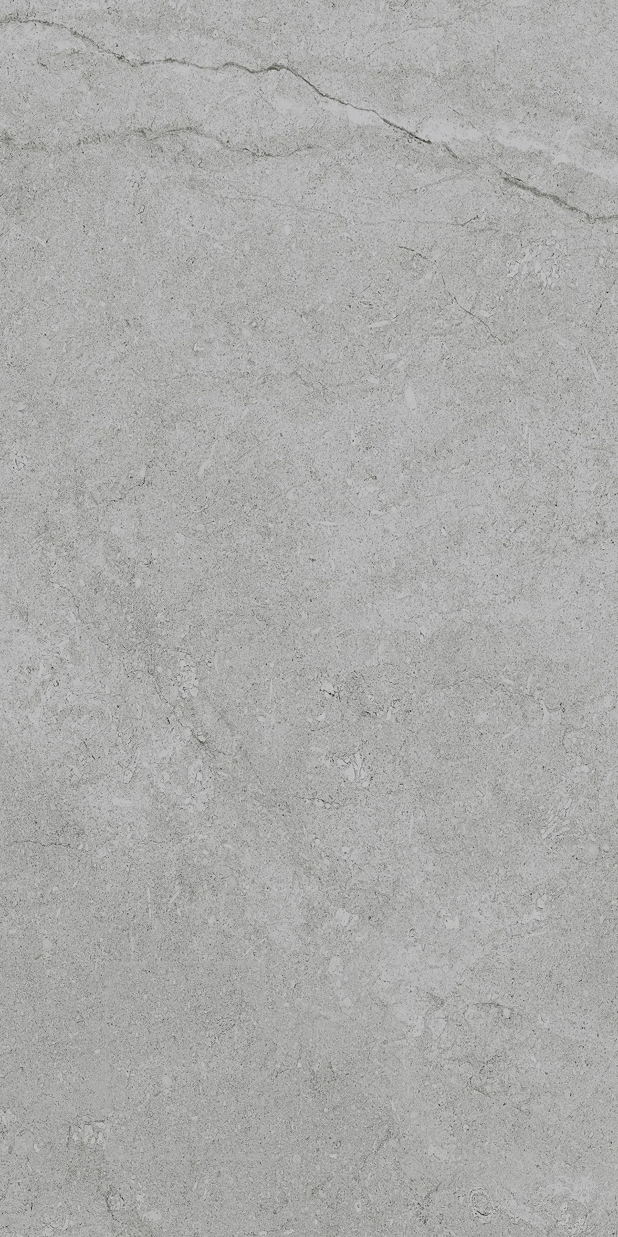 30x60 Mare Gri Rektifiyeli — 4