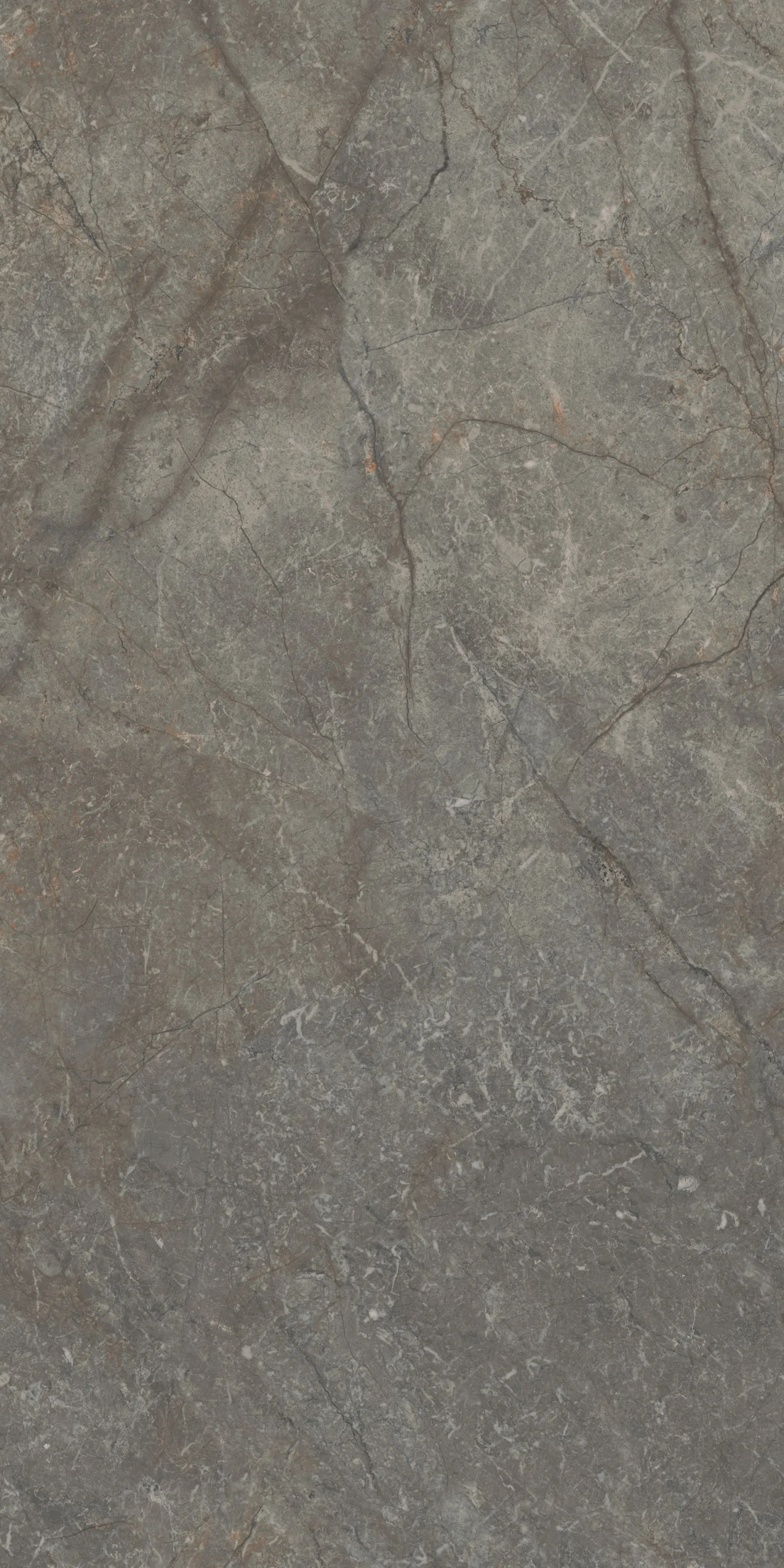 60X120 Silver Root Gri Rektifiyeli — 3