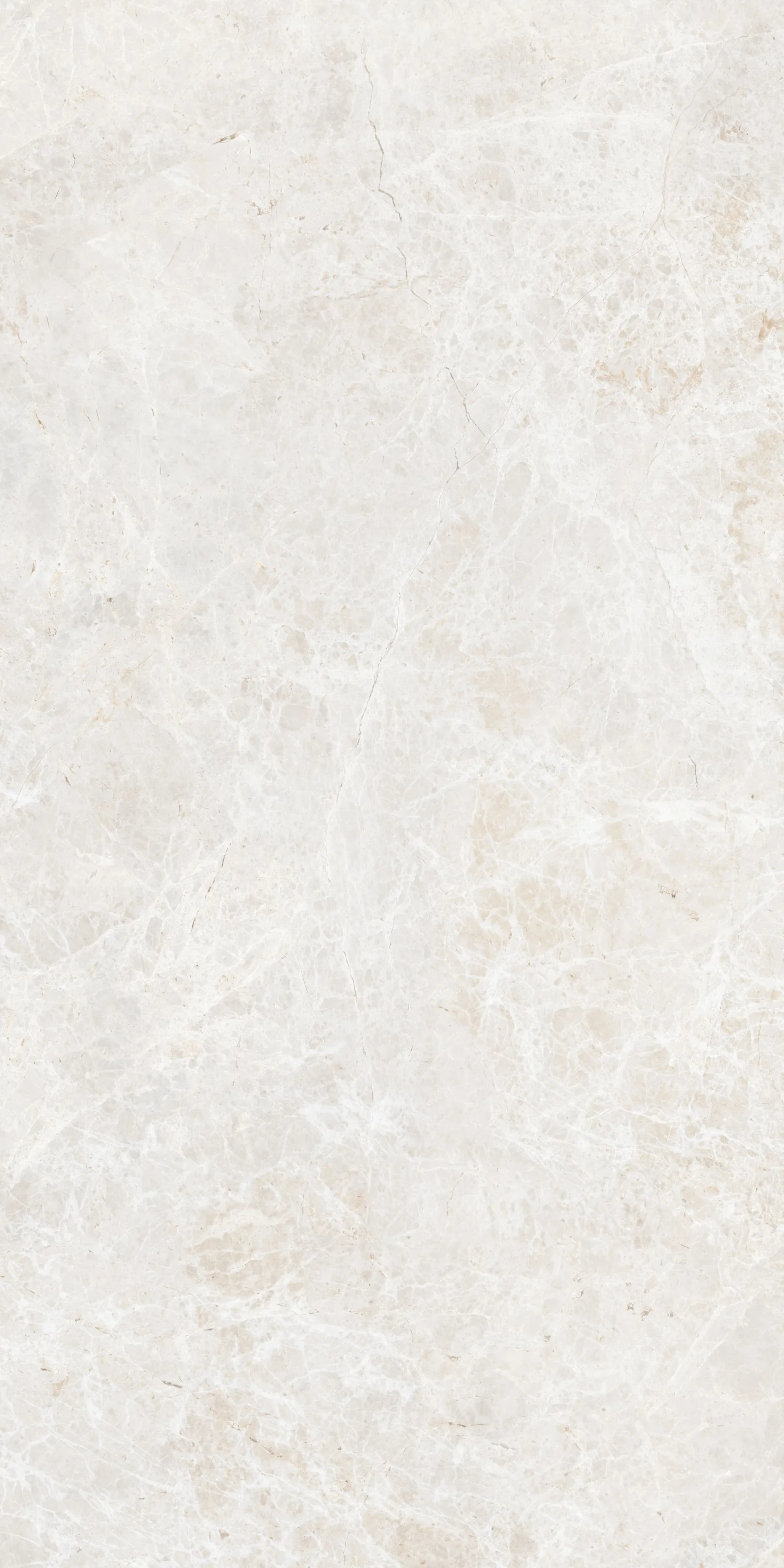 60X120 White Emperador Beyaz Rektifiyeli — 3