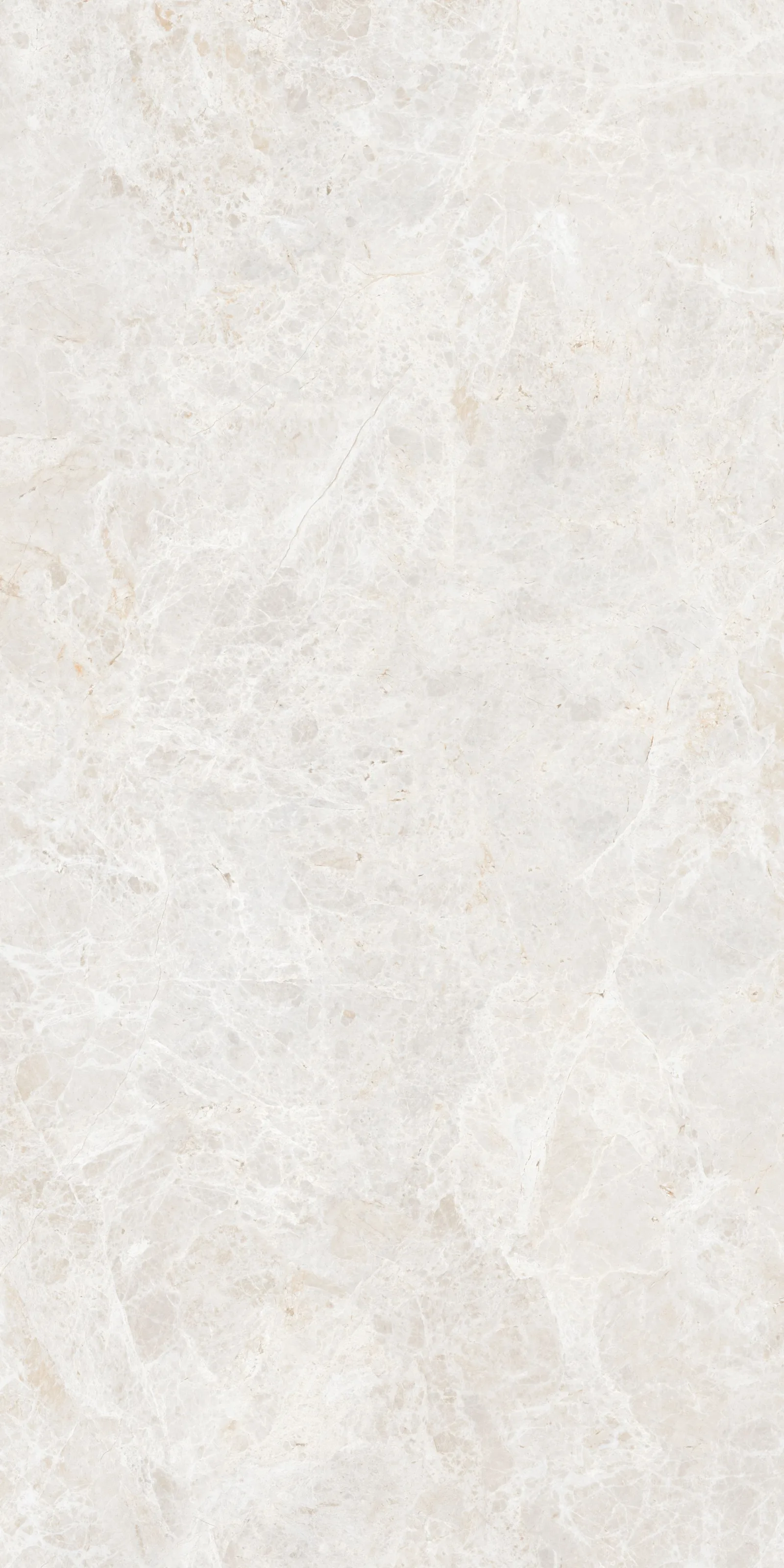 60X120 White Emperador Beyaz Rektifiyeli — 4