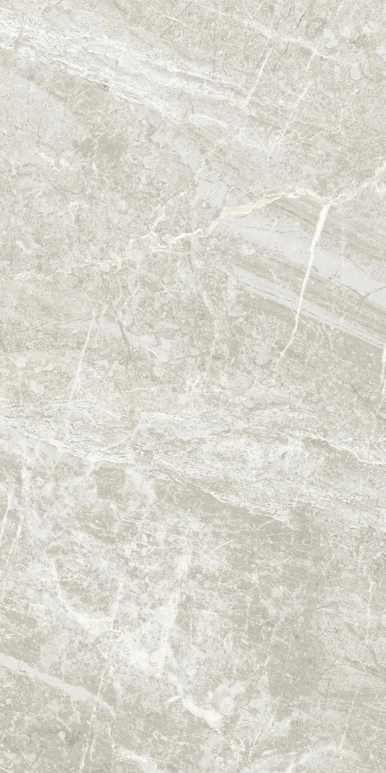 30x60 Arden Fildişi