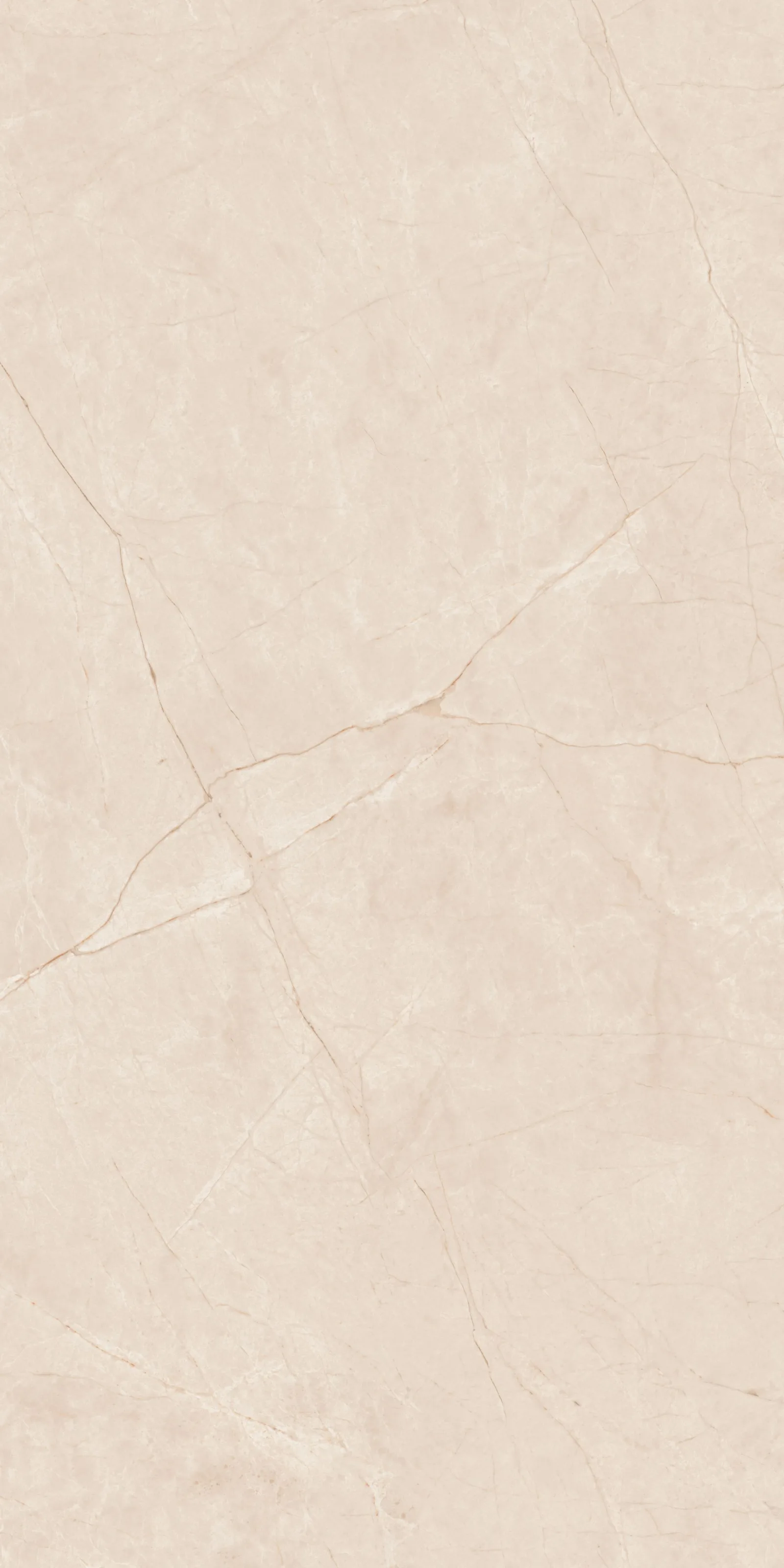 60x120 Serenity Fildişi Rektifiyeli — 4