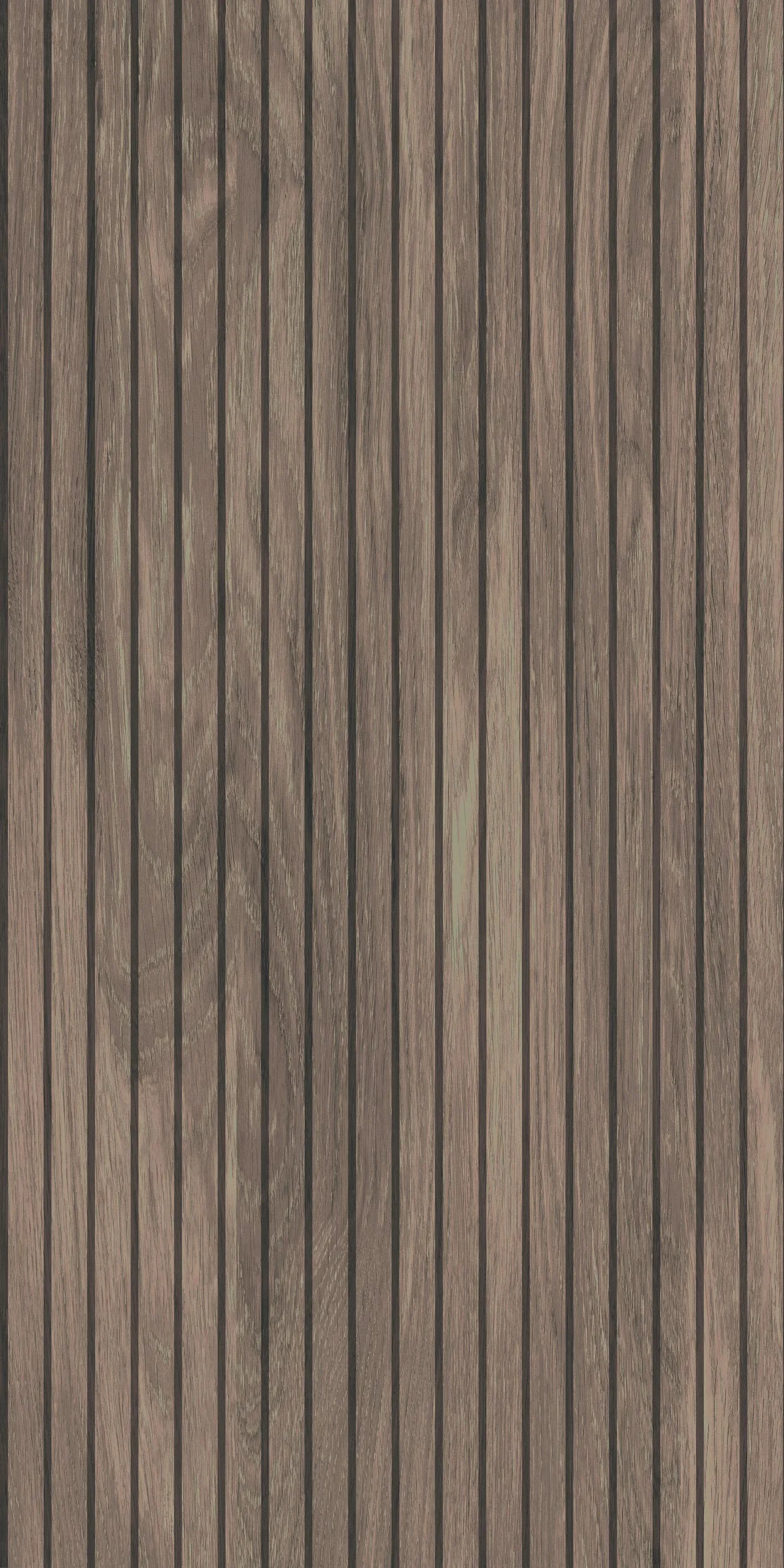 60x120 Sunpo Ceviz Rektifiyeli — 3