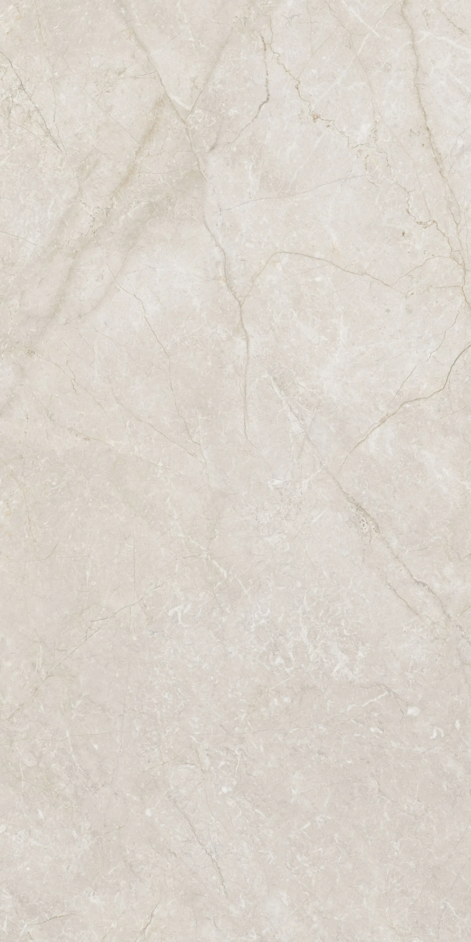 60X120 Silver Root Fildişi Rektifiyeli — 3