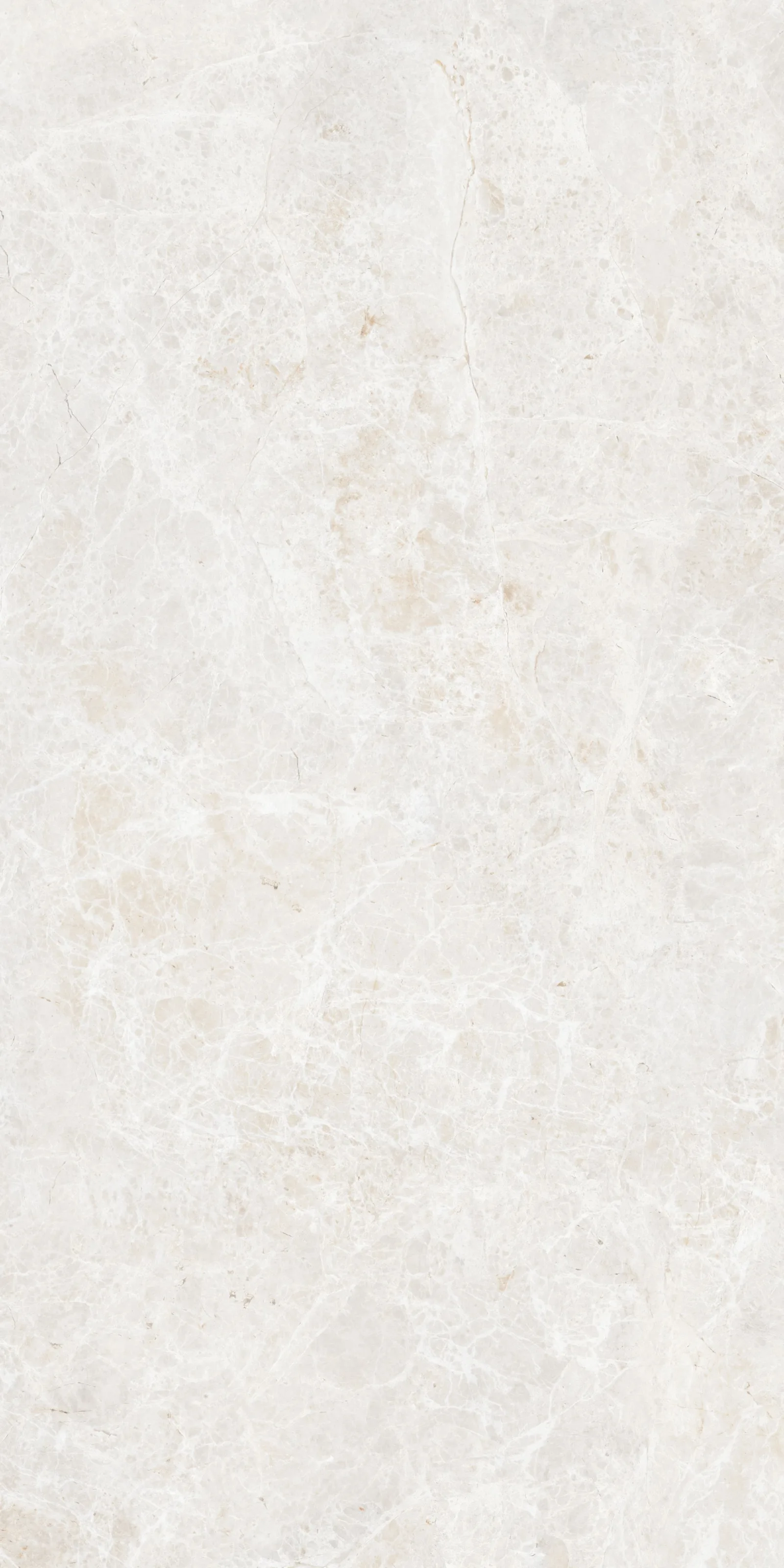 60X120 White Emperador Beyaz Rektifiyeli — 2