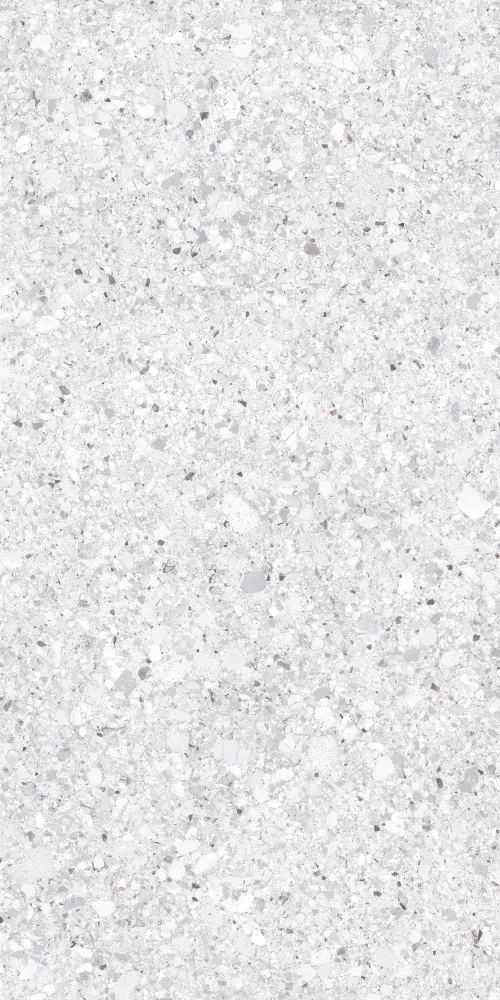 SAVOY 60x120 White