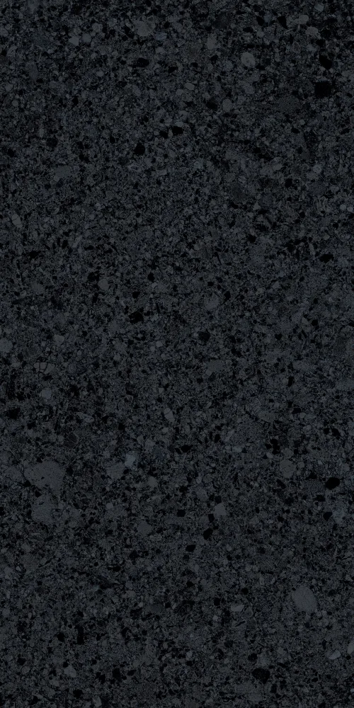 SAVOY 60x120 Black