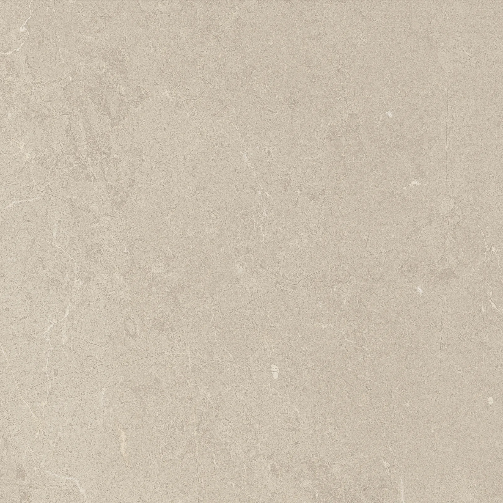 OSCAR 60x60 Ivory