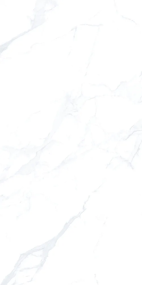ICON 30x60 White