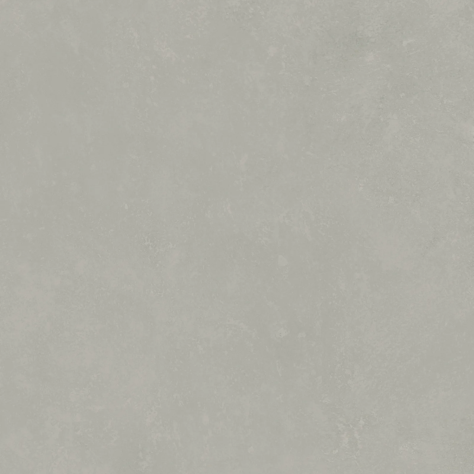 NEWTON 100x100 Ivory