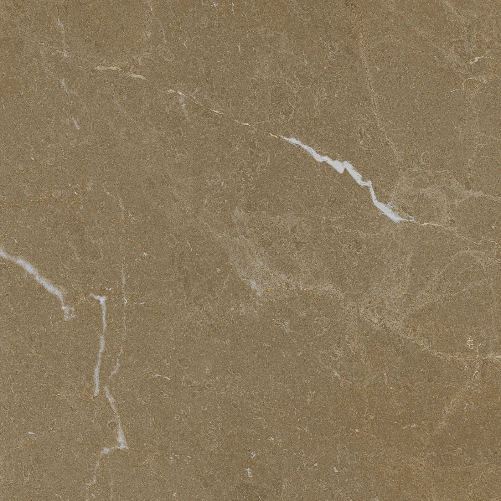 OSCAR 60x60 Gold