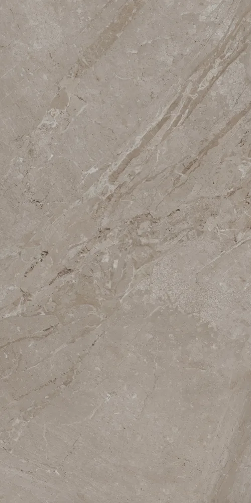 CAROLINE 60x120 Earth