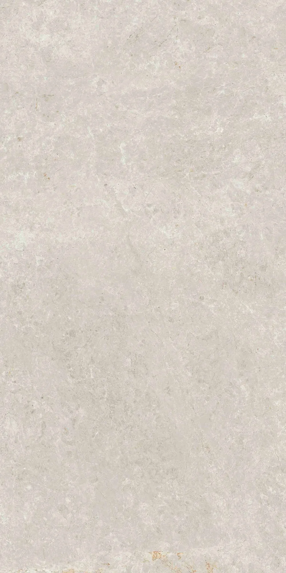 Capella Mat Kemik Duvar Karosu — 2