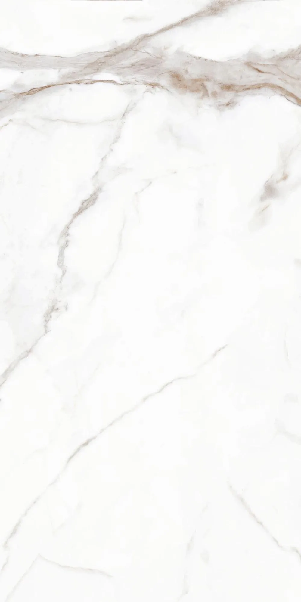 Calacatta Gold Parlak Duvarkarosu