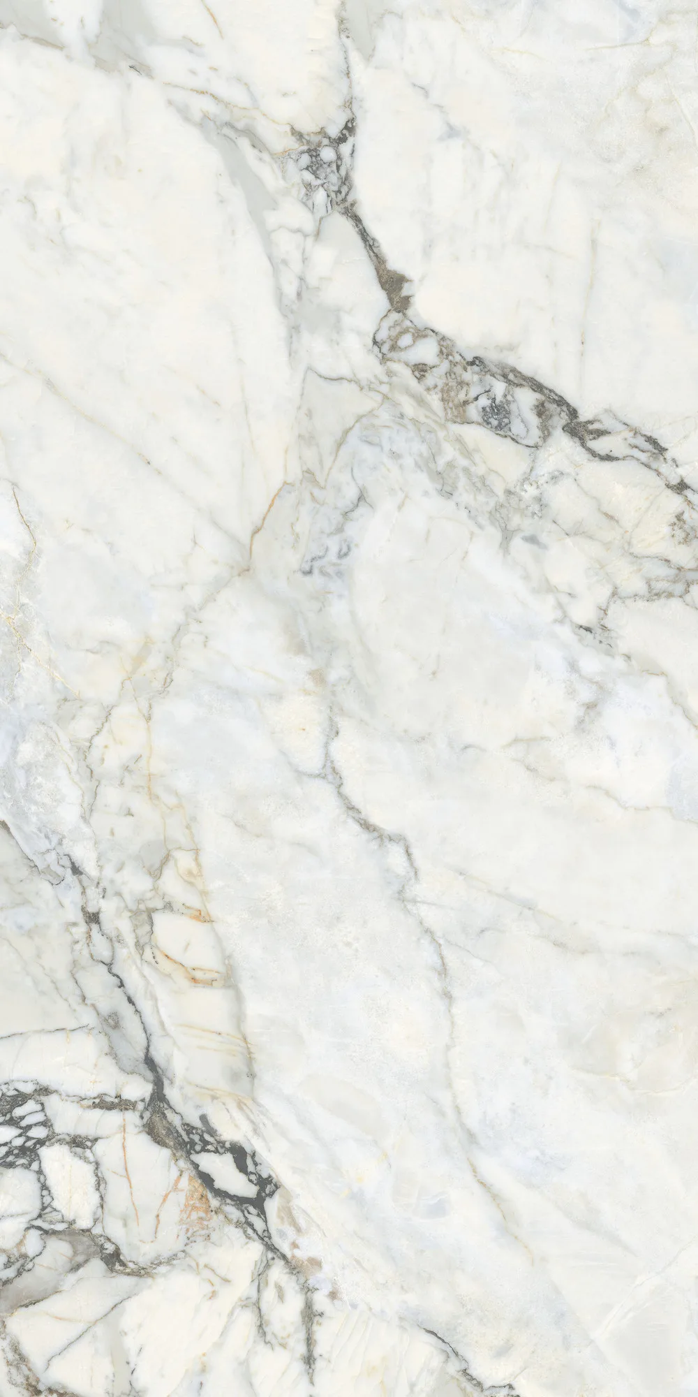 White Bovary Parlak Porselen Karo 60x120 — 4