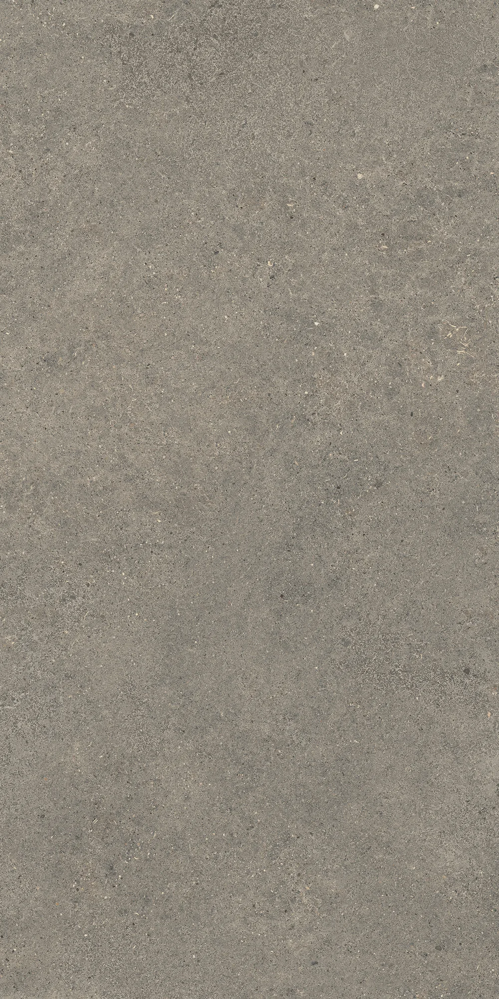 Aterna Taupe Mat Porselen Karo 60x120 — 2