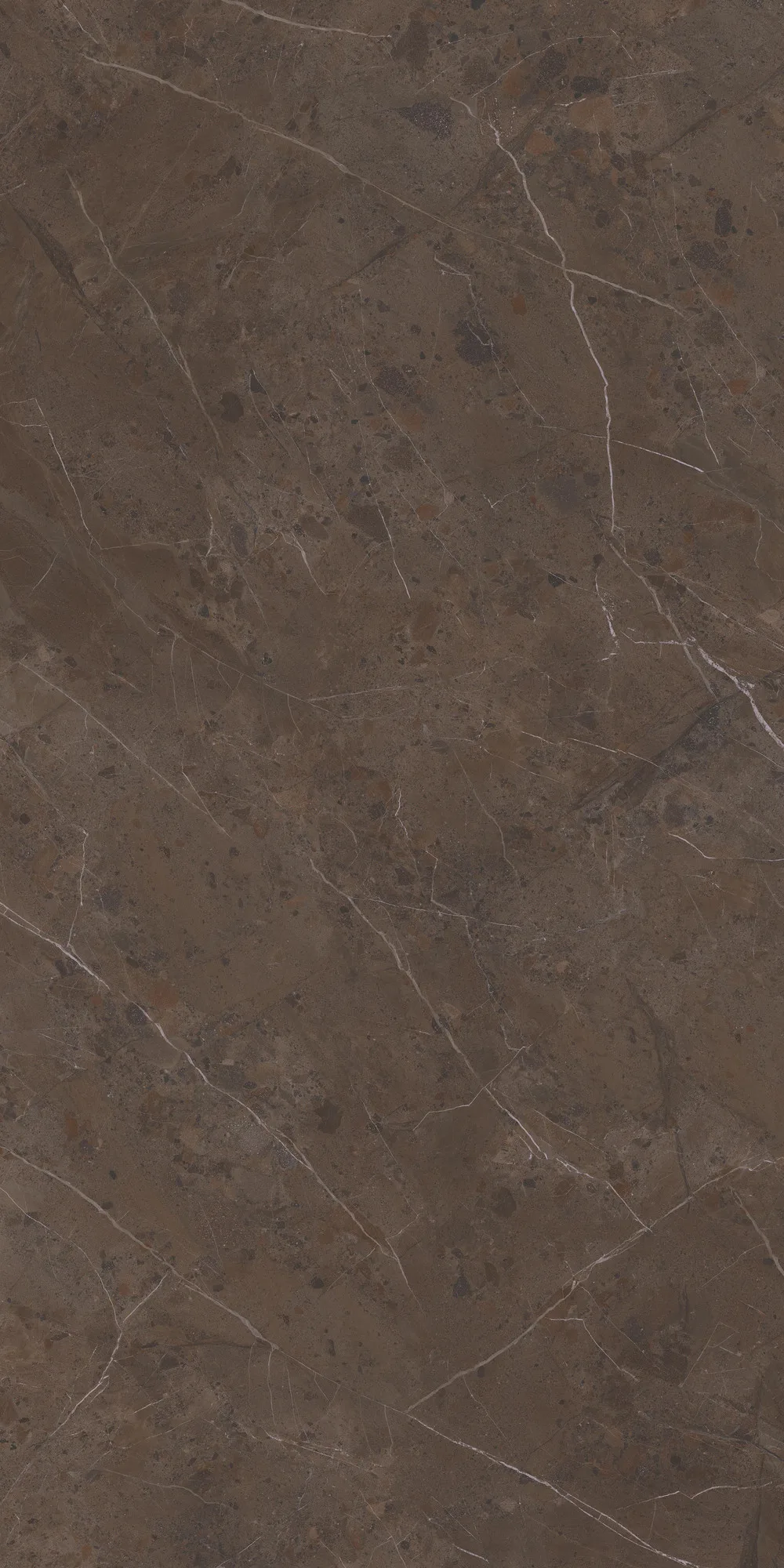Imperiale Brown Parlak Porselen Plaka 162x323 — 3