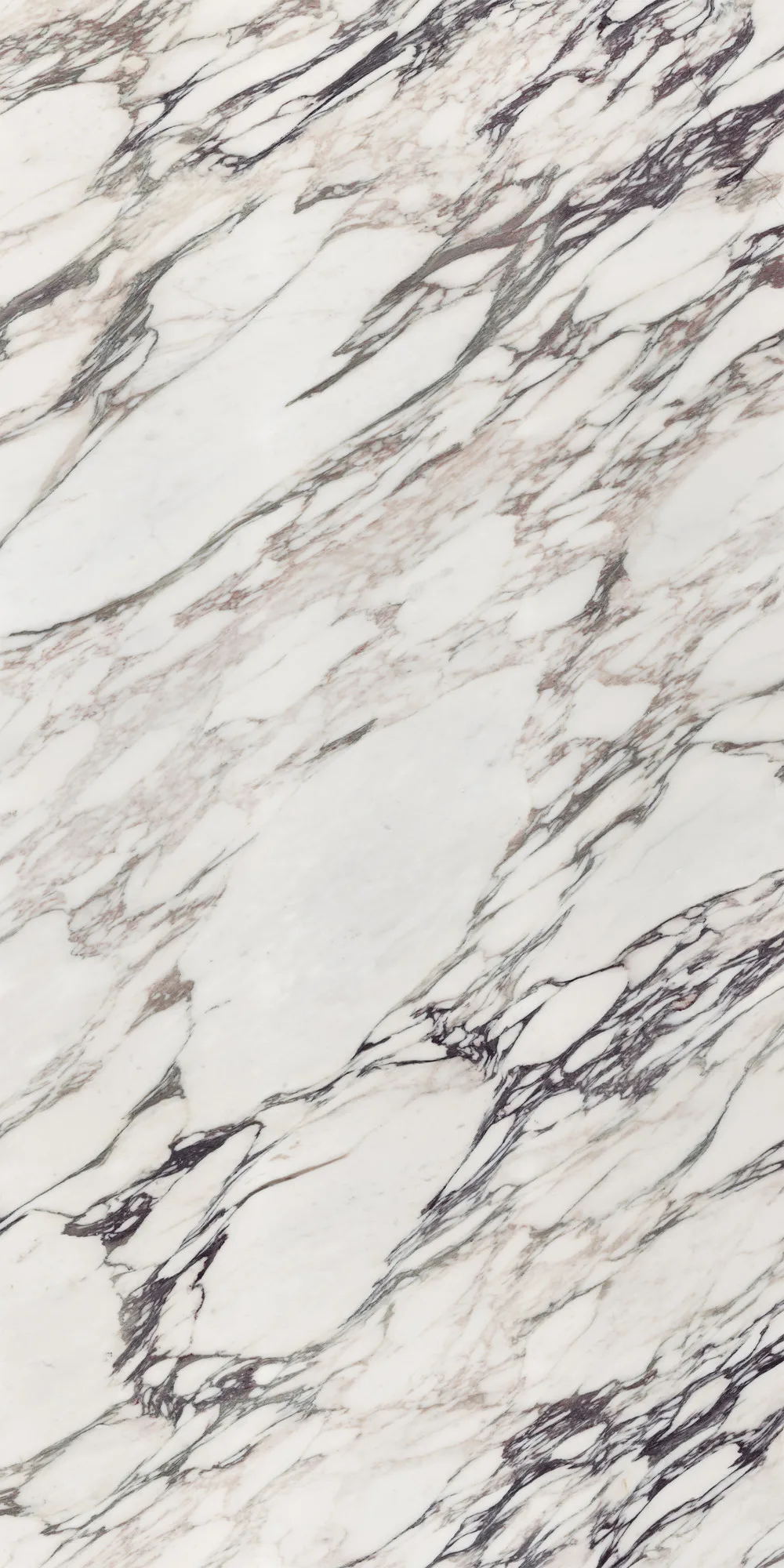 Calacatta Viola Parlak Kalesinterflex Porselen Plaka 162x323