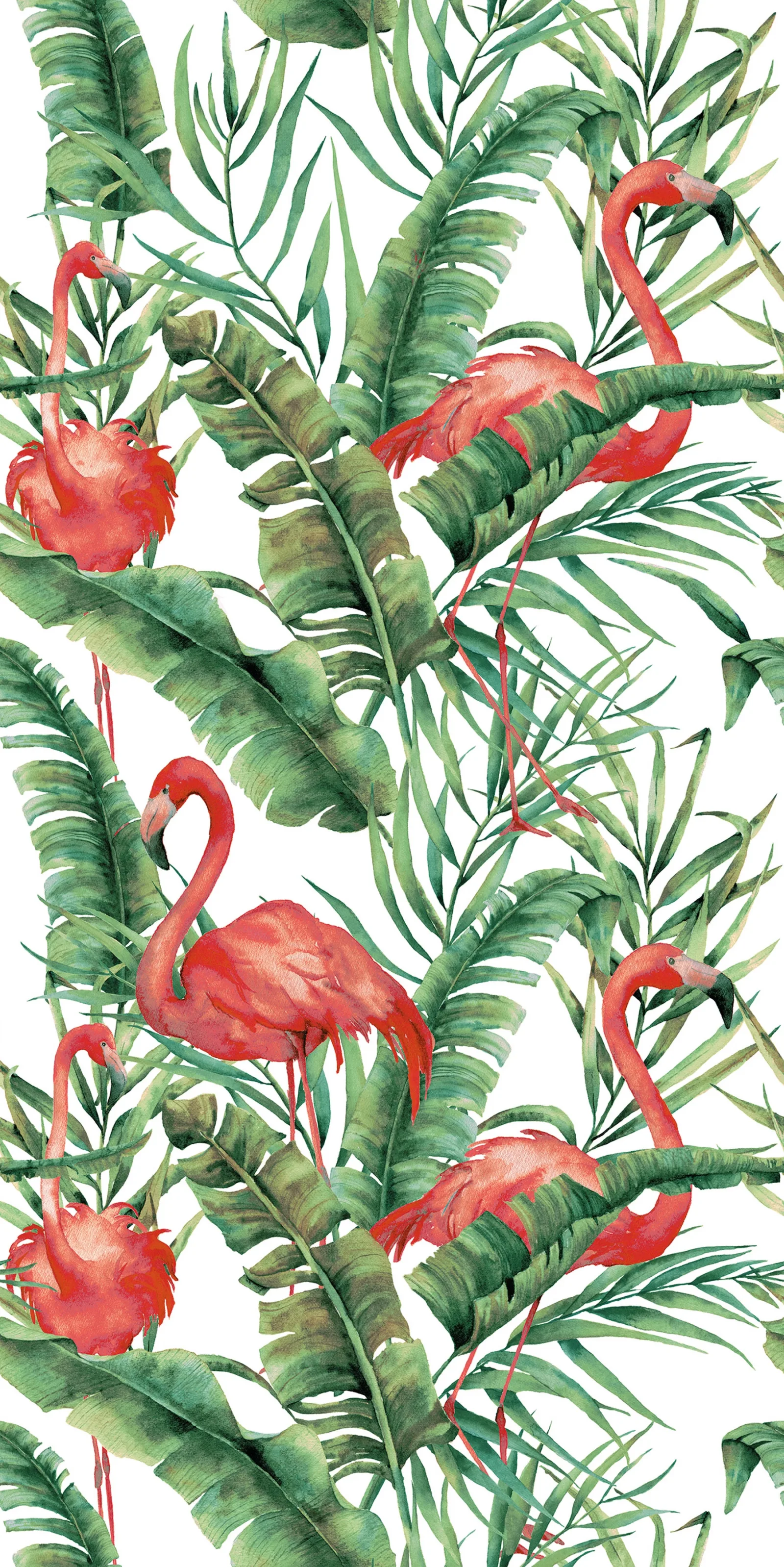 240x120 FLAMINGO PANO REKTİFİYE TEKLİ