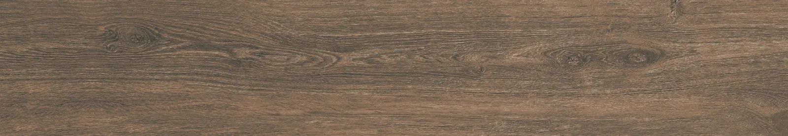 21x122 DENDRO CEVİZ — 6