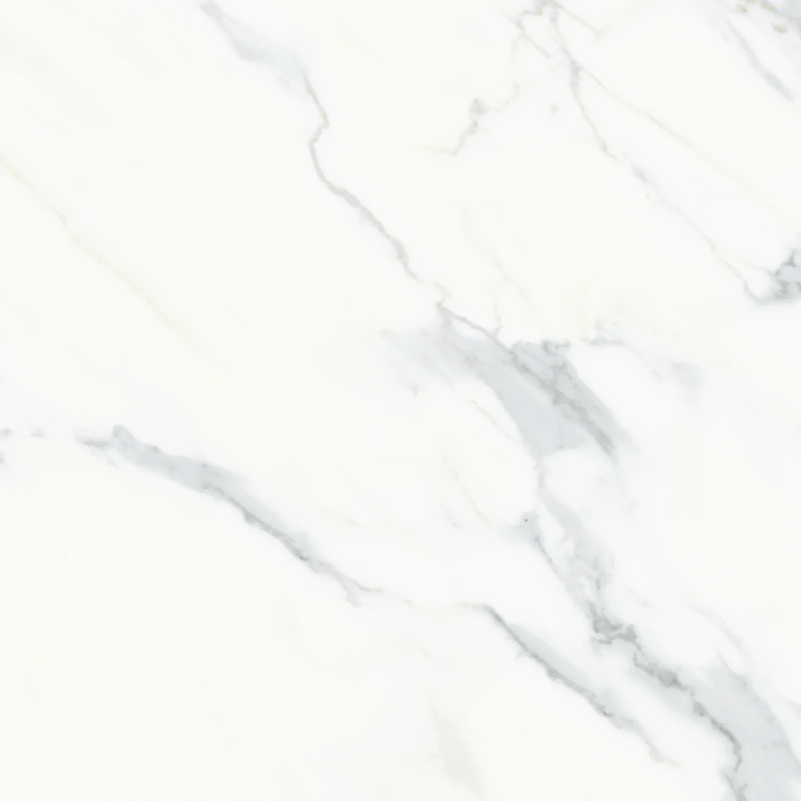 61x61 CALACATTA MAT — 7
