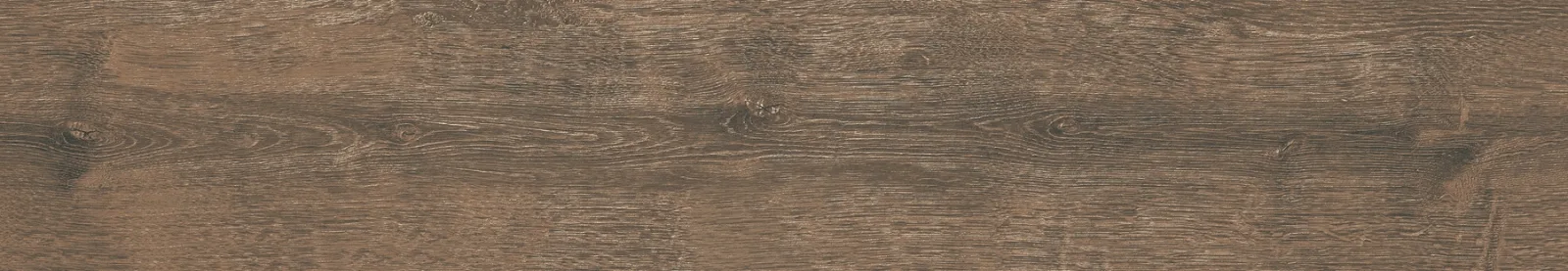 21x122 DENDRO CEVİZ — 4
