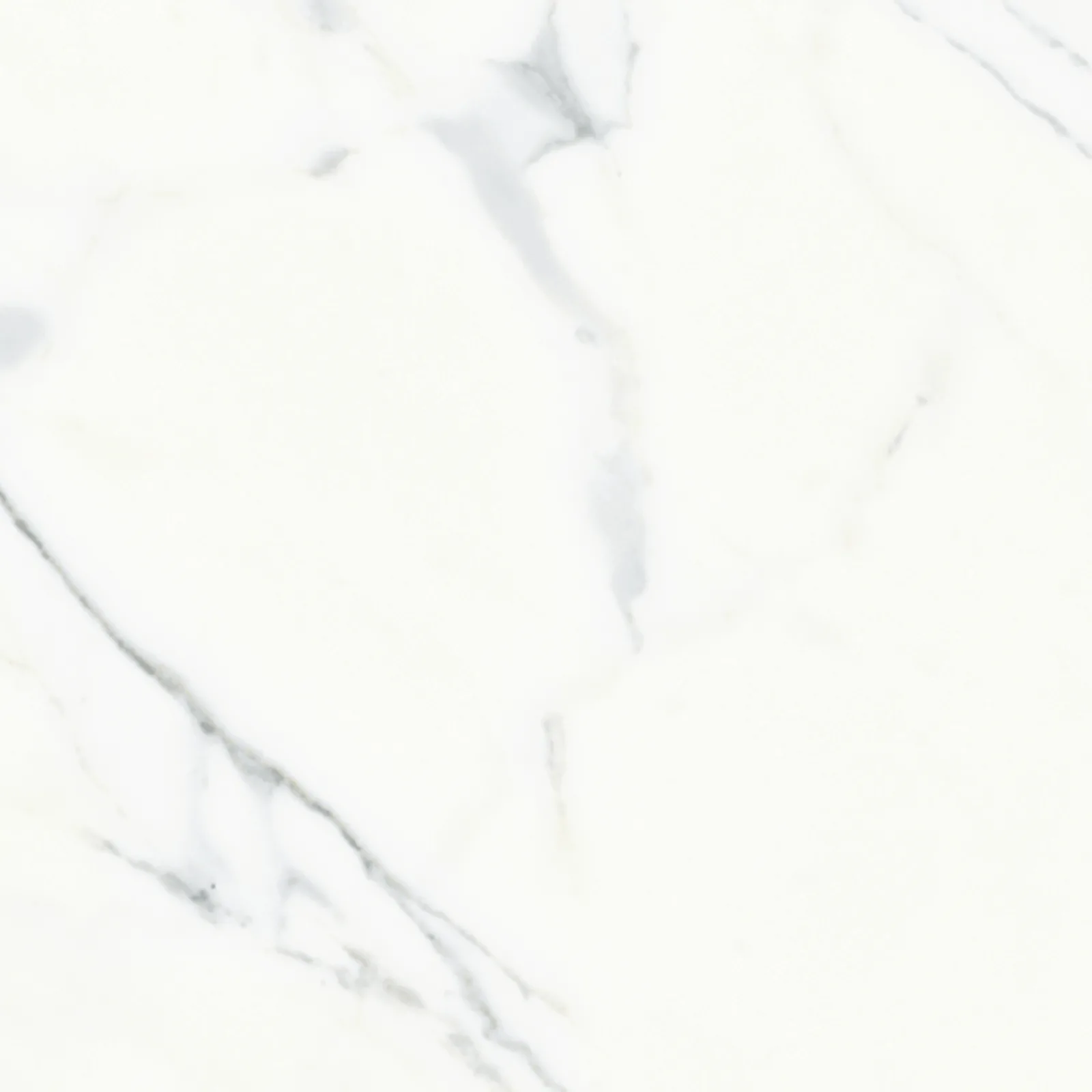 61x61 CALACATTA MAT — 8