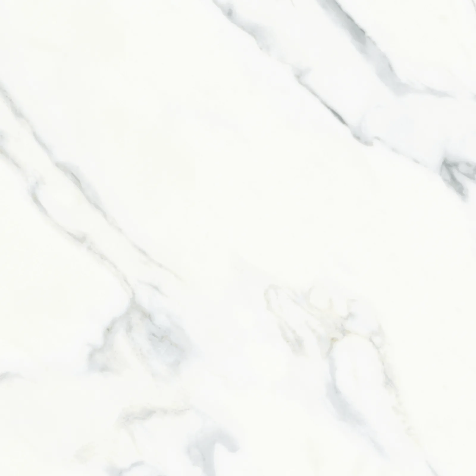 61x61 CALACATTA MAT — 2
