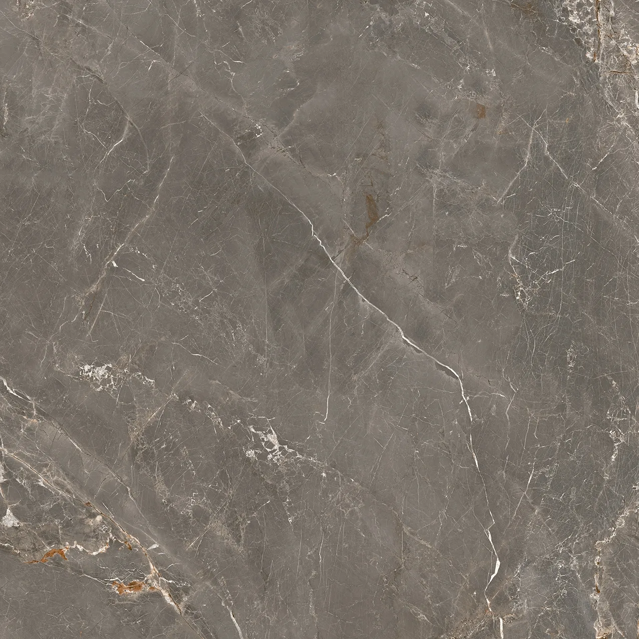 80x80 ALVARADO MOCHA REKTİFİYE PARLAK NANO — 4
