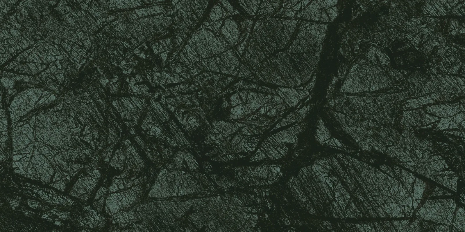 80x160 VERDE REKTİFİYE LAPPATO — 3