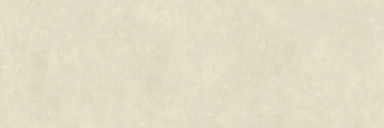 100x300 VISTA BONE MAT 3 MM REKTİFİYE — 5