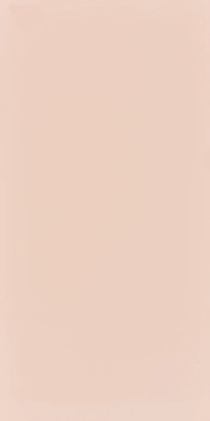 60X120 Style Pastel Açık Pembe Fon Mat — 2