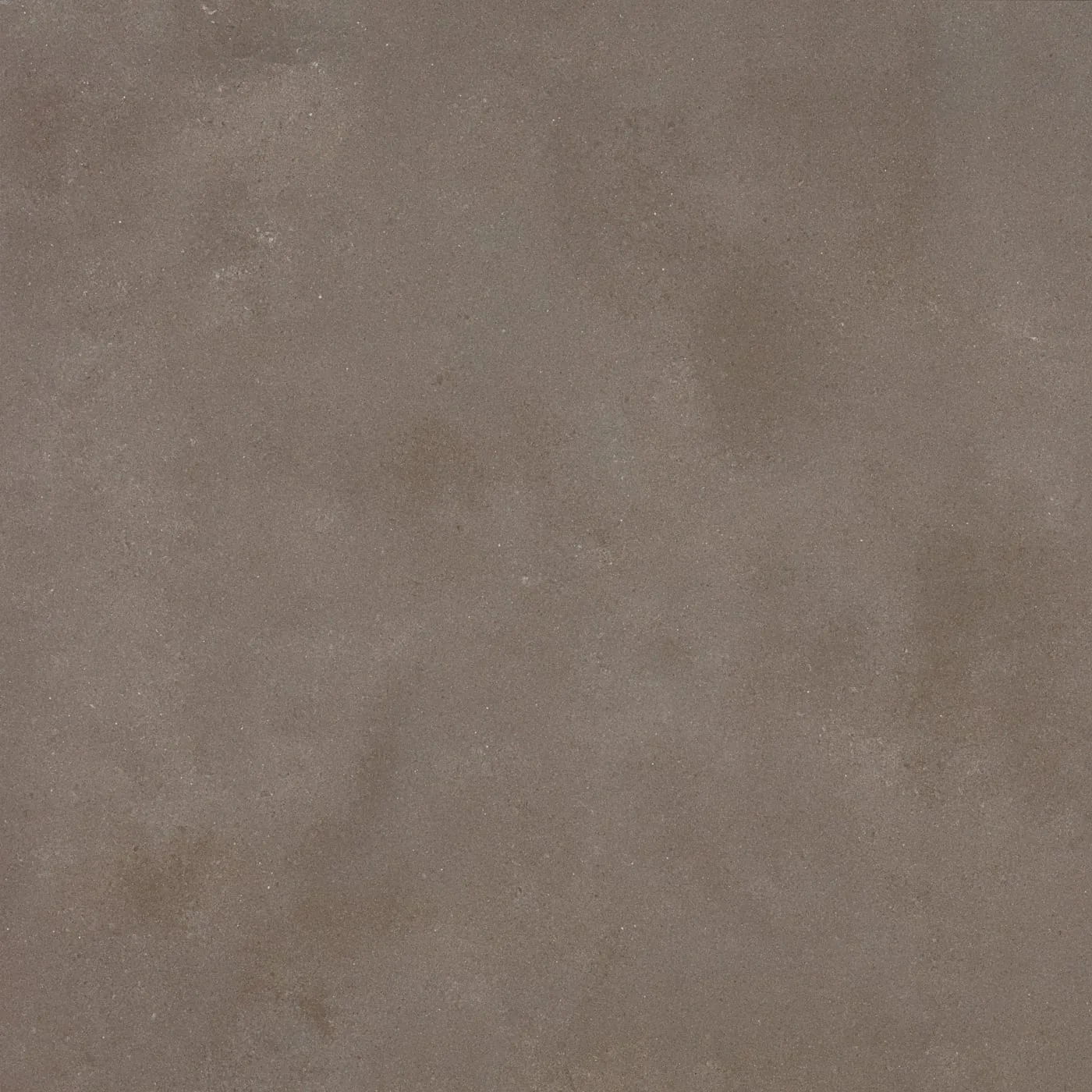 90X90  COSMOS-VIZON FON PARLAK — 4